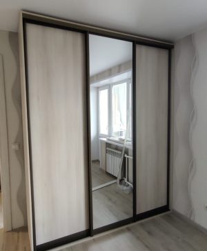Встроенный шкаф-купе с зеркалом в спальню №16 1510